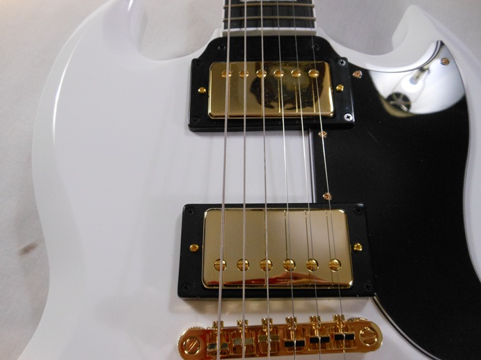 SG Custom Picture 13